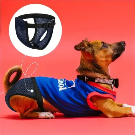 Pañal Perros Periodo